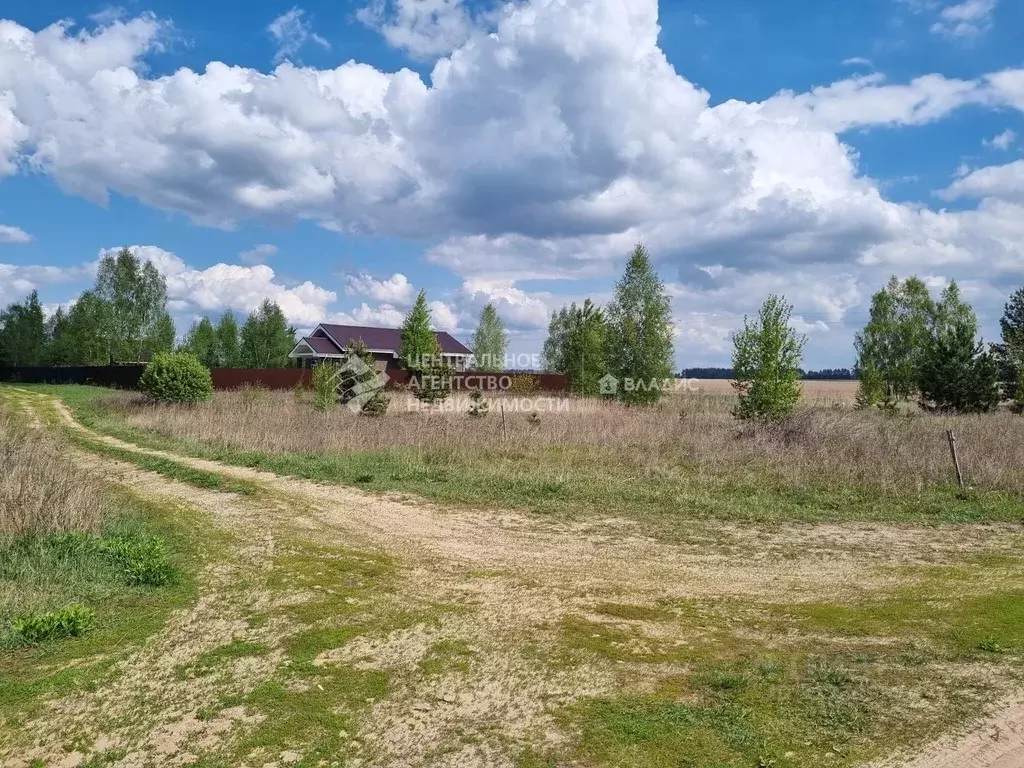 Участок в Рязанская область, Рязанский муниципальный округ, с. Казарь ... - Фото 2