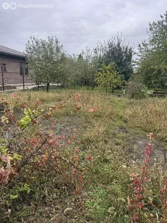 Участок в Новотитаровское сельское поселение, хутор Осечки, дачное ... - Фото 2