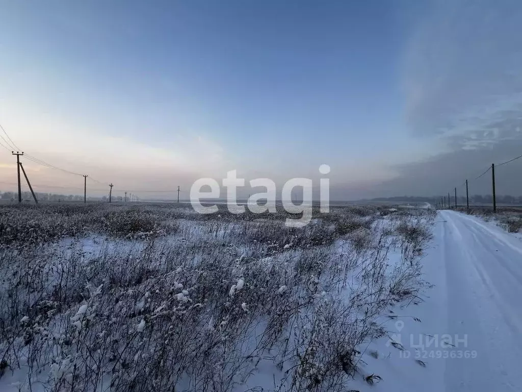 Участок в Красноярский край, Красноярск городской округ, с. Дрокино, ... - Фото 1