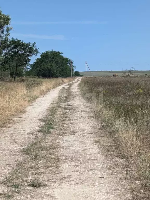 Участок в Крым, Черноморский район, Медведевское с/пос, с. Медведево ... - Фото 0