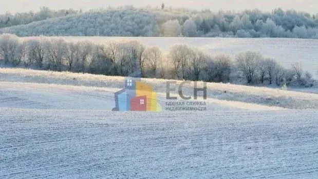 Участок в Тульская область, Новогуровский рп  (279.0 сот.) - Фото 1