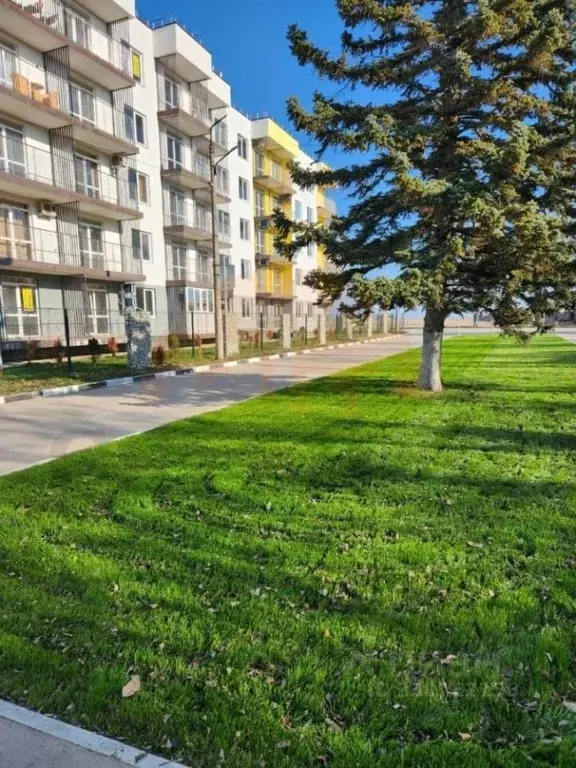1-к кв. Крым, Сакский район, с. Фрунзе ул. Мира, 27А (33.1 м) - Фото 1
