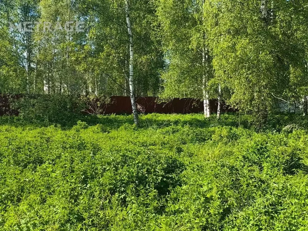 Участок в Москва Мачихино СНТ, 321 (9.0 сот.) - Фото 0