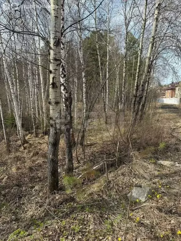 Участок в Первомайский район, посёлок Заречный (5 м) - Фото 2