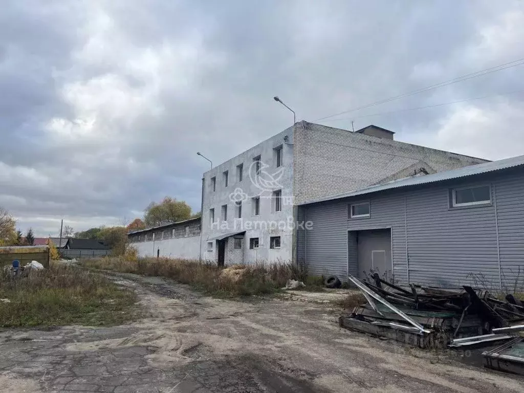 Помещение свободного назначения в Владимирская область, Петушки ... - Фото 0