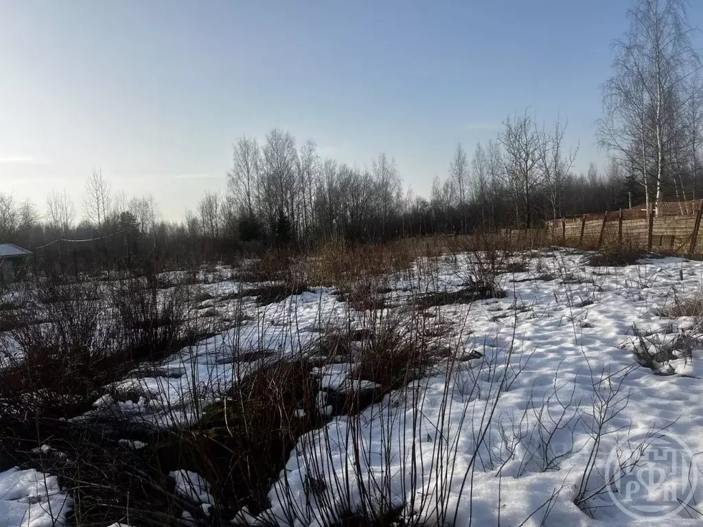 Участок в Санкт-Петербург пер. Осенний, 9 (9.0 сот.) - Фото 2