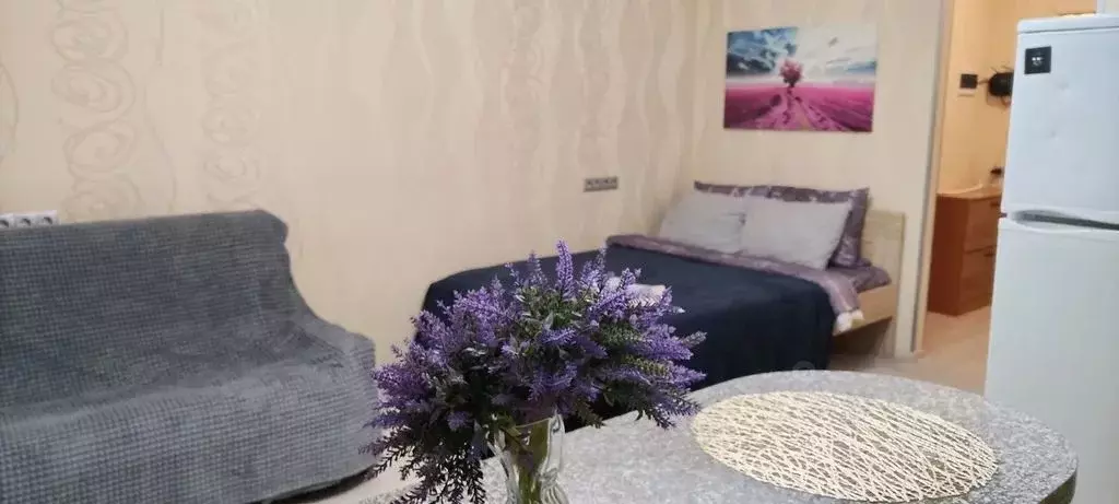 Студия Московская область, Раменское Высоковольтная ул., 22 (33.0 м) - Фото 1