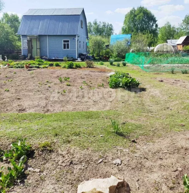 Дача 50 м на участке 8 сот. - Фото 1