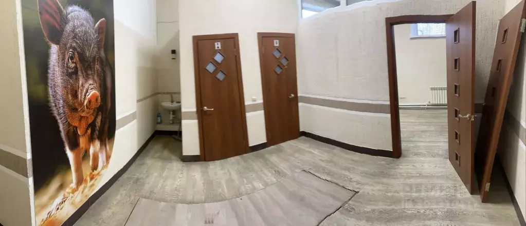 Склад в Новосибирская область, Новосибирск ул. Петухова, 71/2 (531 м) - Фото 2