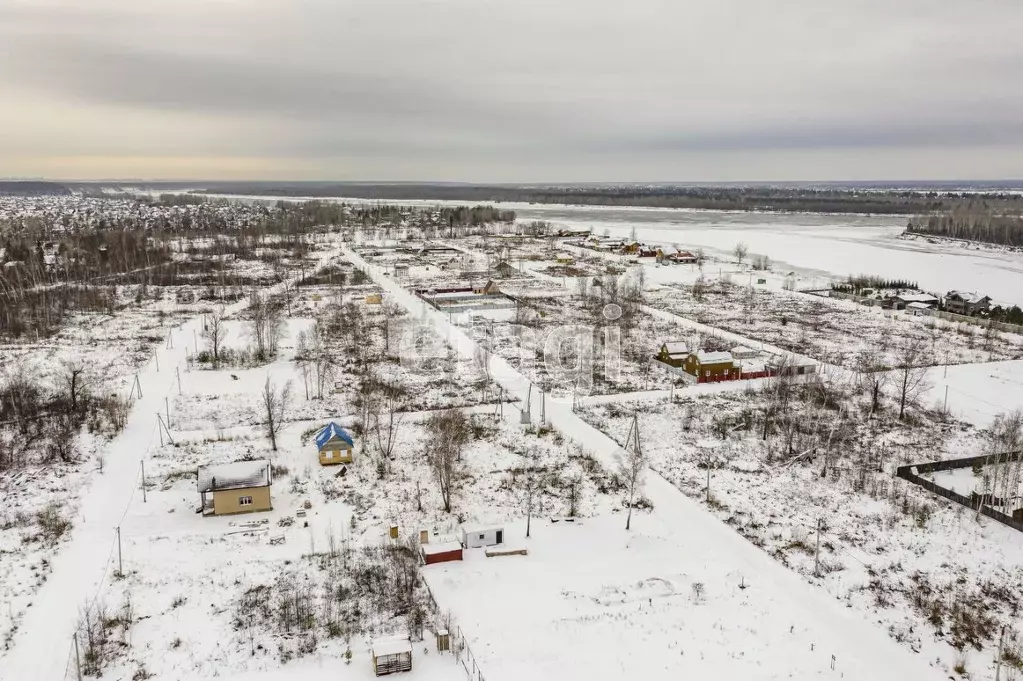 Участок в Новосибирская область, Новосибирский район, Кубовинский ... - Фото 0