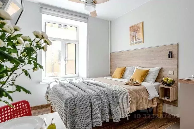 1-к кв. Санкт-Петербург Загородный просп., 9 (12.0 м) - Фото 2