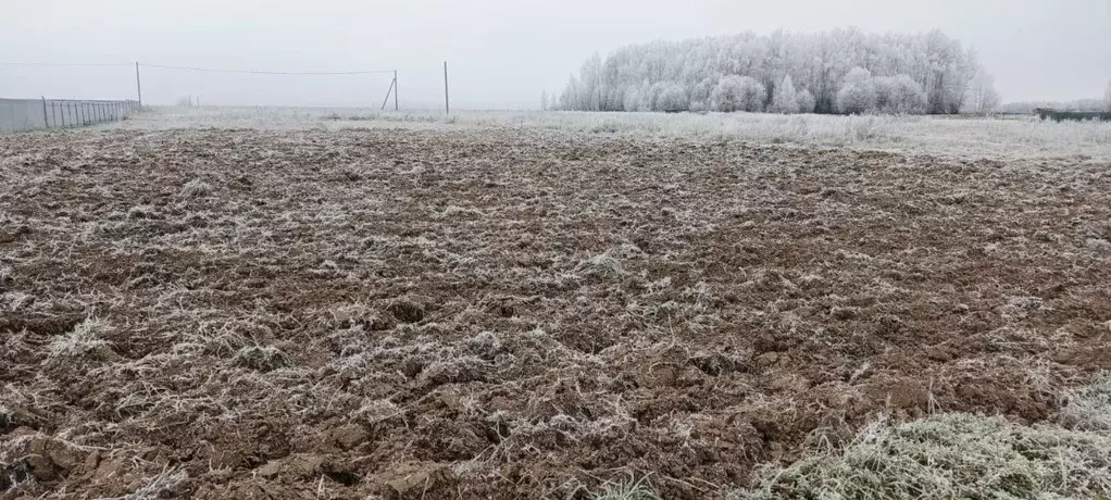Участок в Марий Эл, Медведевский район, Азяковское с/пос, д. Шеклянур ... - Фото 2