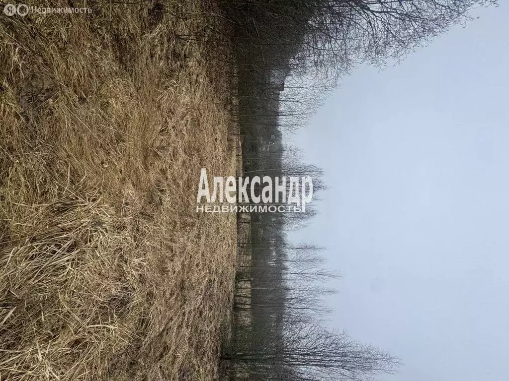 Участок в Выборгский район, Рощинское городское поселение (23 м) - Фото 2