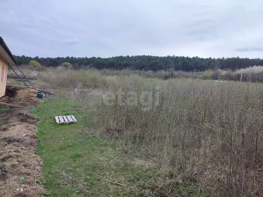 Участок в Крым, Симферопольский район, Трудовское с/пос, с. Денисовка ... - Фото 0