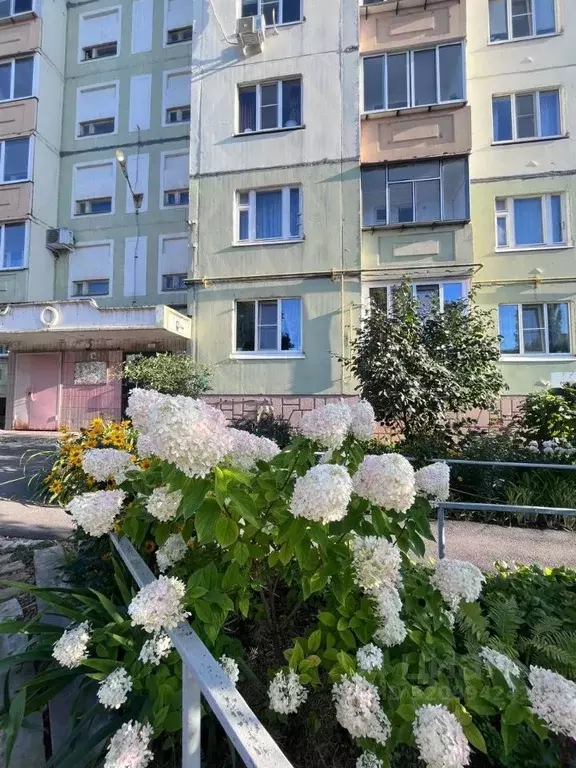 1-к кв. Липецкая область, Липецк ул. Валентины Терешковой, 37/1 (37.0 ... - Фото 0