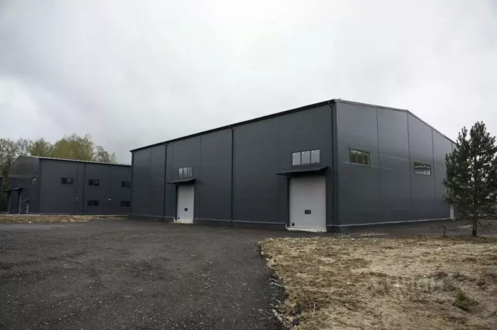 Склад в Московская область, Щелково городской округ, Транспортная тер. ... - Фото 1