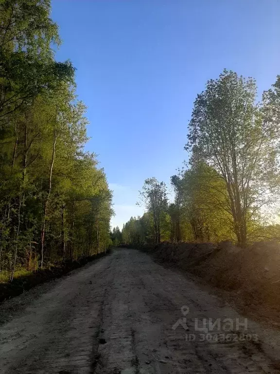 Участок в Ленинградская область, Всеволожский район, Заневское ... - Фото 0