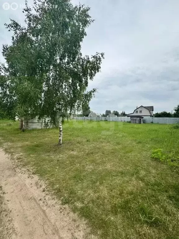 Участок в Нетьинское сельское поселение, СДТ Нетьинка (6 м) - Фото 1