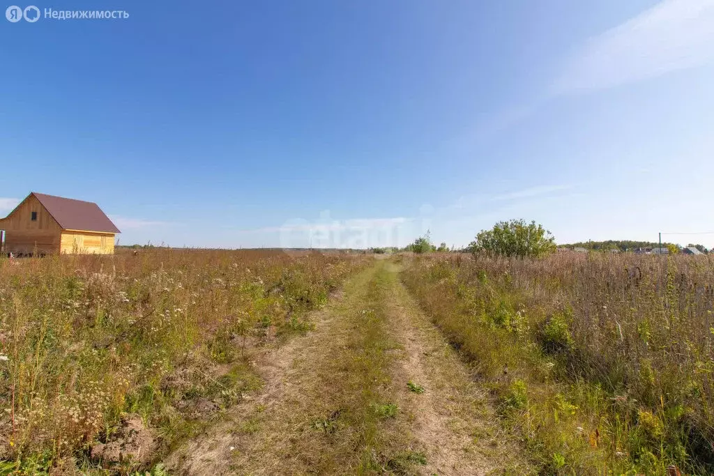 Участок в Тюменский муниципальный округ, село Салаирка (9.1 м) - Фото 1