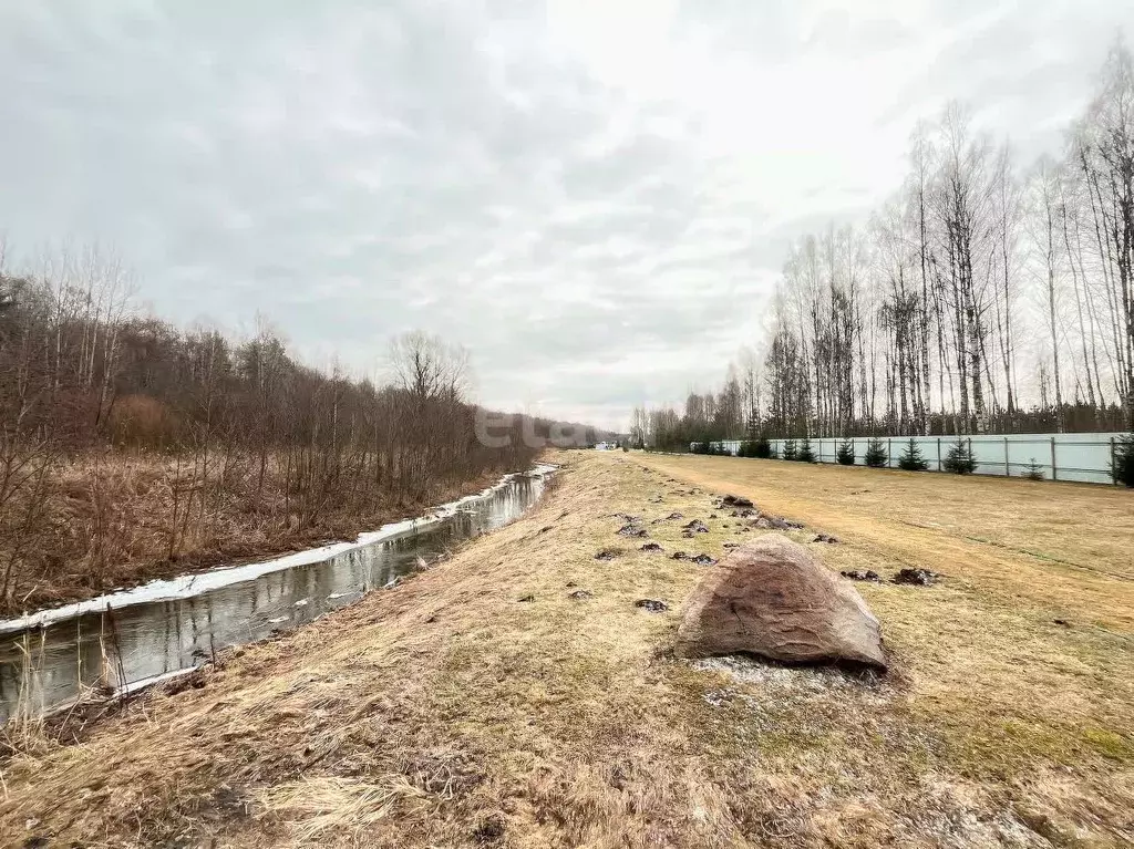 Участок в Ярославская область, Некрасовский муниципальный округ, ... - Фото 2