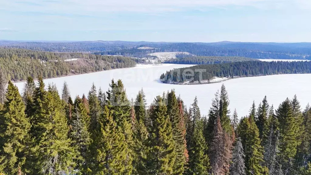 Дом в Челябинская область, Нязепетровск Северная ул. (43 м) - Фото 1