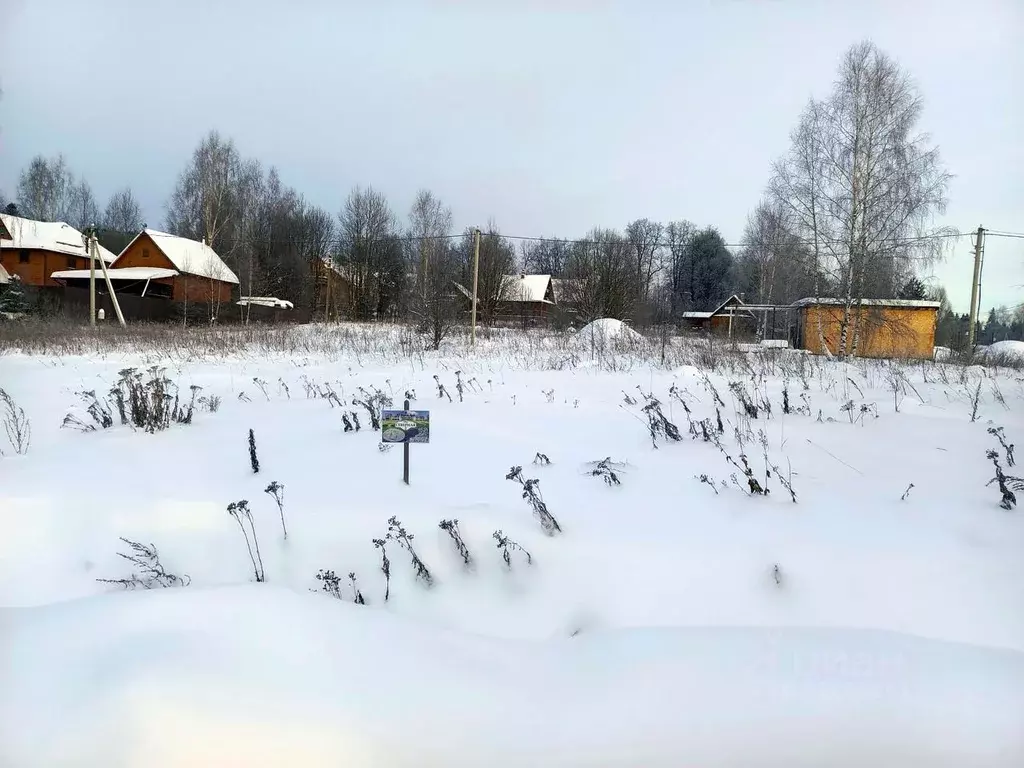 Участок в Московская область, Дмитровский городской округ, Форест Клаб ... - Фото 1