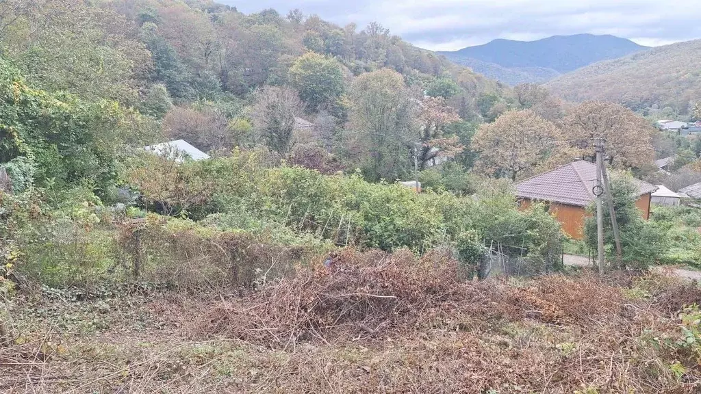 Участок в Краснодарский край, Туапсинский муниципальный округ, с. ... - Фото 2