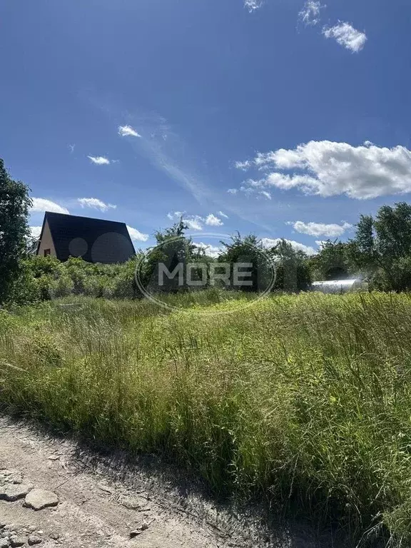 Участок 6 сот. (СНТ, ДНП) - Фото 0