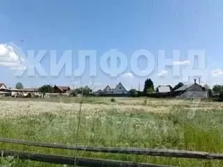 Участок в Томская область, Томский район, д. Барабинка Кедровая ул. ... - Фото 0