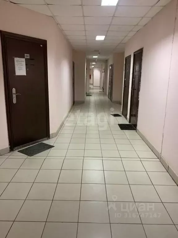 Офис в Ярославская область, Ярославль ул. Наумова, 67/2 (24 м) - Фото 1