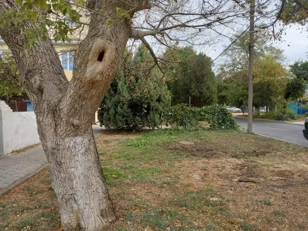 Участок в Краснодарский край, Анапа ул. Тургенева (4.7 сот.) - Фото 0