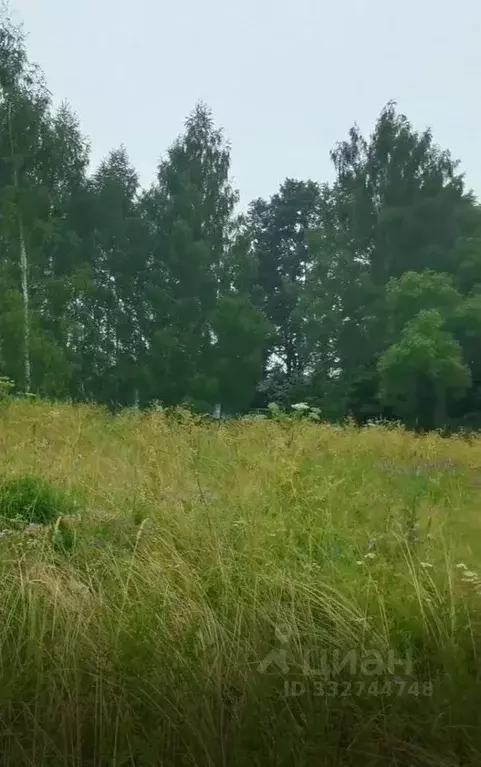 Участок в Московская область, Ступино городской округ, д. Чирково  ... - Фото 2