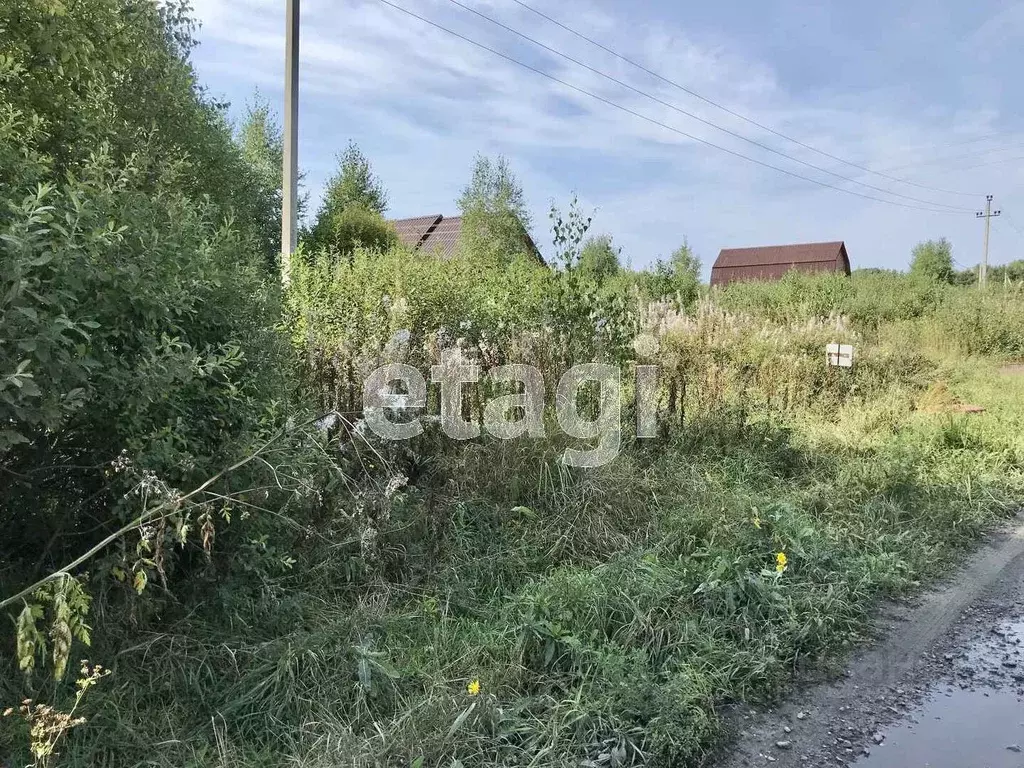 Участок в Тюменская область, Тобольский район, Малозоркальцевское ... - Фото 1