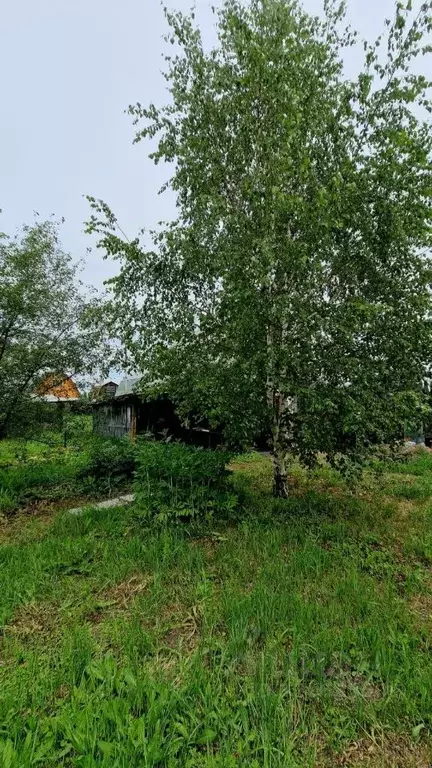 Участок в Иркутская область, Усольский район, Железнодорожное с/пос, ... - Фото 2