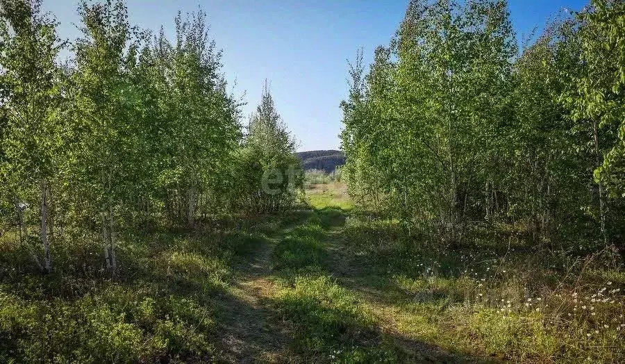 Участок в Сахалинская область, Южно-Сахалинск городской округ, с. ... - Фото 0