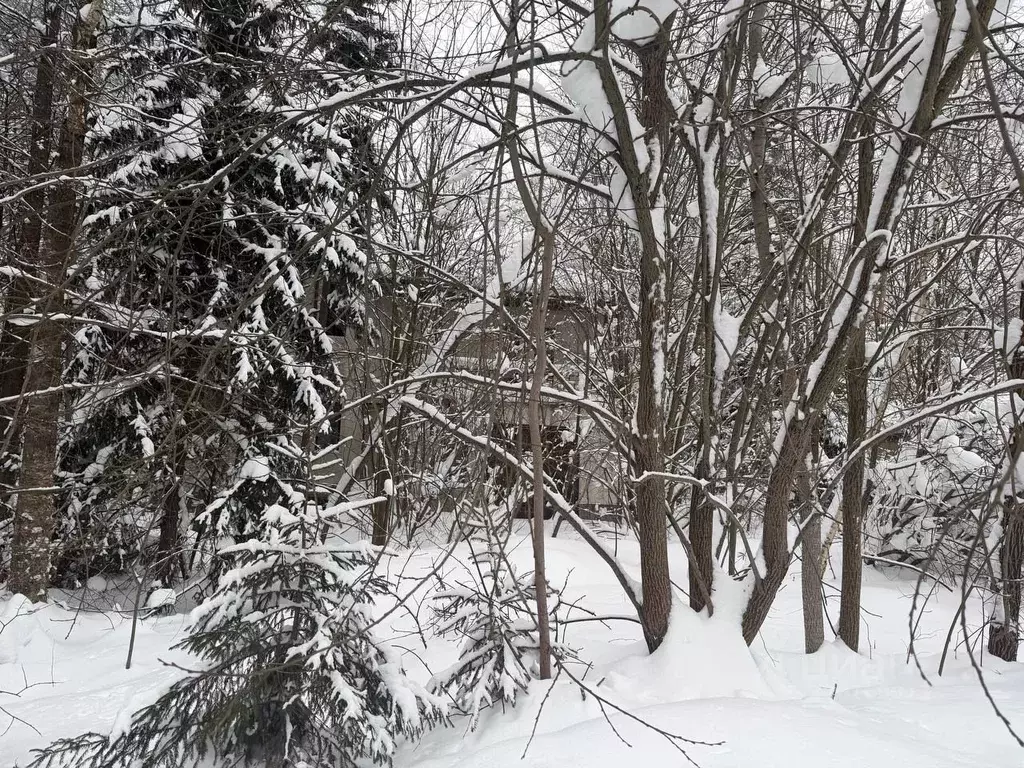 Участок в Московская область, Одинцовский городской округ, д. Сивково, ... - Фото 1