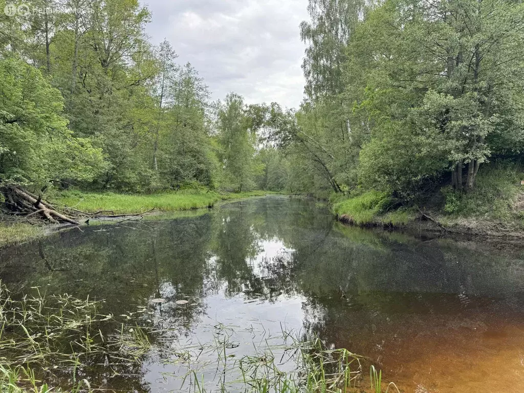 Участок в Владимирская область, Гороховецкий муниципальный округ, ... - Фото 2