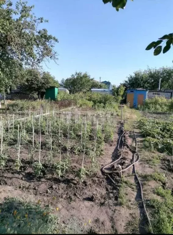 Дом в Белгородская область, Старый Оскол Мичуринец СНТ, проезд 2-й ... - Фото 1