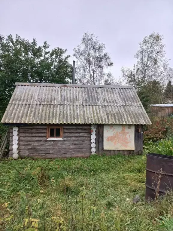 Дом в Вологодская область, д. Буяново  (47 м) - Фото 1