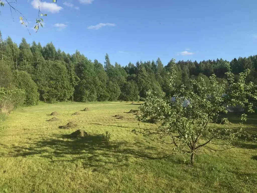 Участок в Новгородская область, Валдайский район, Яжелбицкое с/пос, д. ... - Фото 0