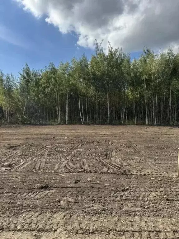 Участок в Московская область, Богородский городской округ, Щемиловские ... - Фото 1