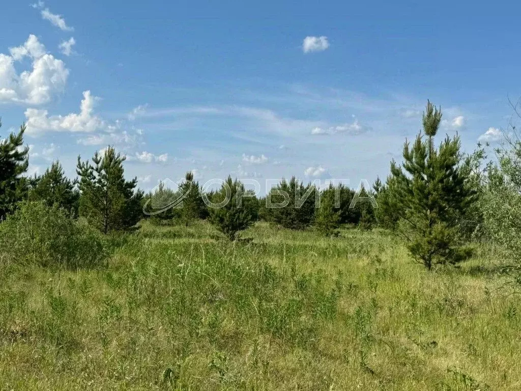 Участок в Тюменская область, Тюменский район, с. Салаирка  (7043.0 ... - Фото 1