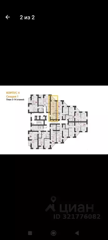 Студия Пензенская область, Пенза ул. Измайлова, 41В (32.39 м) - Фото 1