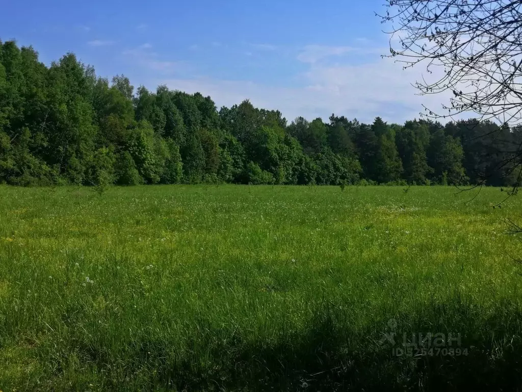 Участок в Московская область, Серпухов городской округ, пос. Оболенск  ... - Фото 1