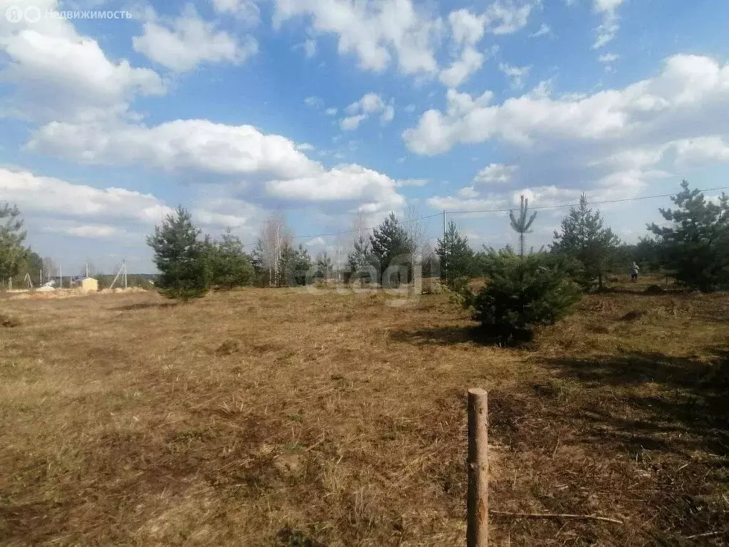 Участок в Владимирская область, Меленковский муниципальный округ, ... - Фото 1