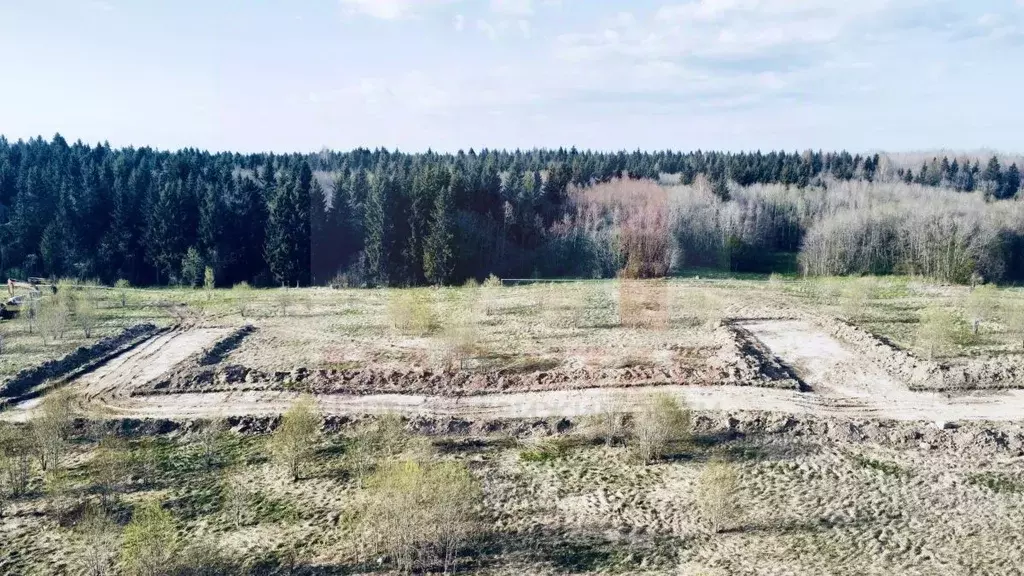 Участок в Ленинградская область, Ломоносовский район, Лопухинское ... - Фото 0