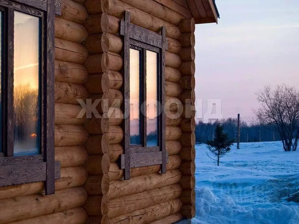 Коттедж в Томская область, Кожевниковский район, с. Елгай  (92 м) - Фото 0