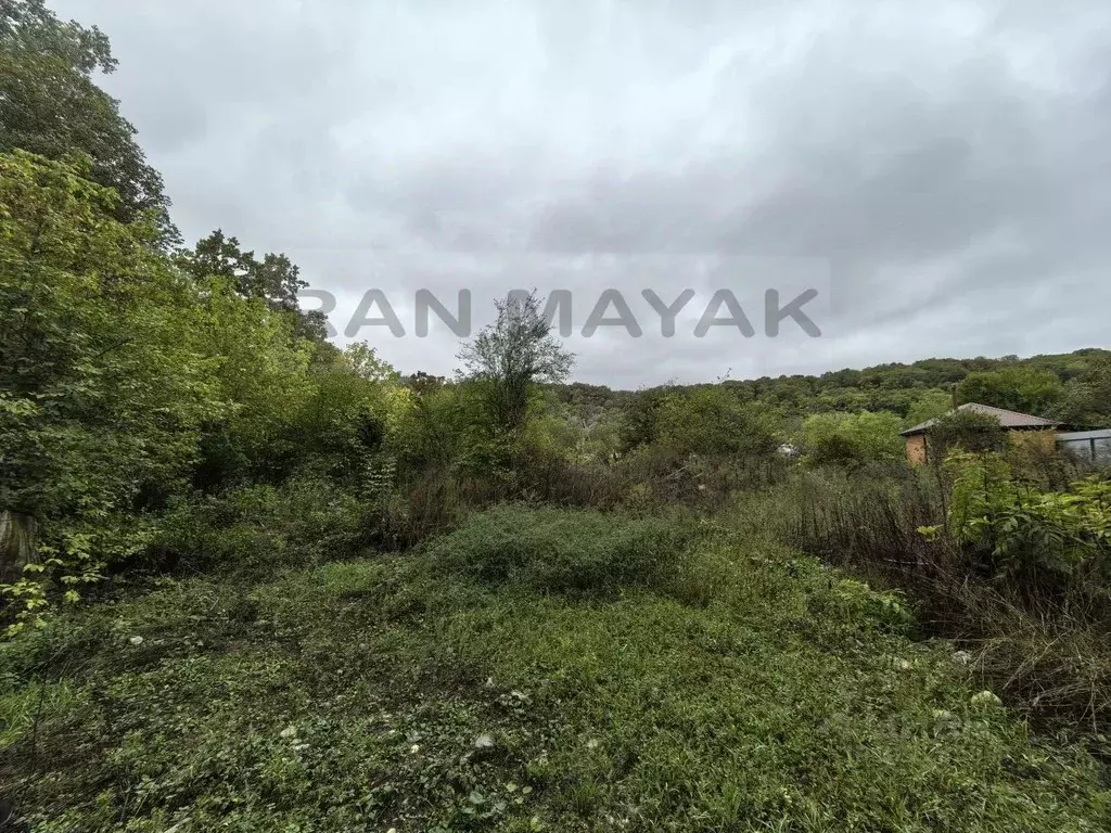 Участок в Адыгея, Майкопский район, Краснооктябрьское с/пос, Лесная ... - Фото 1