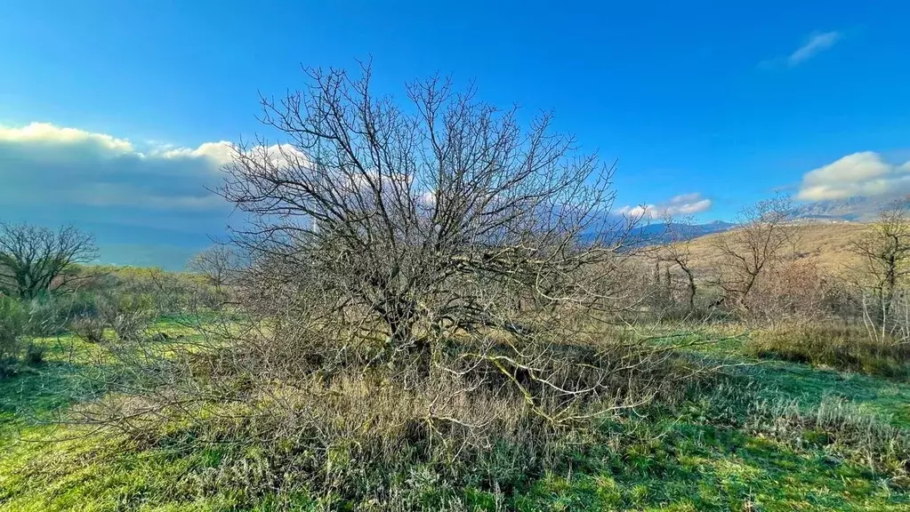 Участок в Крым, Алушта муниципальный округ, пос. Семидворье  (50.0 ... - Фото 2