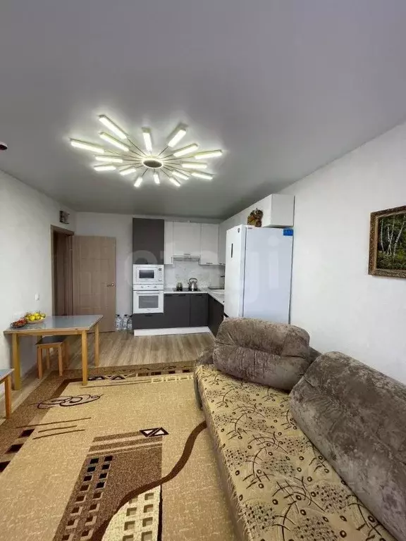 3-к кв. Воронежская область, Новоусманский район, пос. Отрадное ул. ... - Фото 0